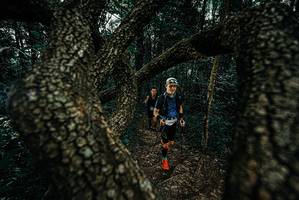 BIB: 
                            <button type="button" onclick="openModal(25685980)" class="btn btn-primary btn-sm float-right btn-popup" data-toggle="modal" data-target=".modal-high-quality">
                        <i class="fas fa-shopping-cart"></i> Add to Cart
                    </button>
                                            <button type="button" onclick="isThisMe(25685980, true)" class="btn btn-success btn-sm float-right btn-popup btn-isme hidden" data-toggle="tooltip" data-placement="bottom" title="นี่คือรูปของคุณใช่ไหม คลิกที่นี่เพื่อเอาเข้าอัลบั้ม">
                        <i class="fas fa-plus"></i> Add to album
                    </button>
                    <button type="button" onclick="isThisMe(25685980, false)" class="btn btn-warning btn-sm float-right btn-popup btn-isnotme hidden">
                        <i class="fas fa-ban"></i> Remove from album
                    </button>